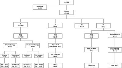 Characteristics and outcomes of pediatric testicular yolk Sac tumor